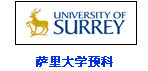 萨里大学预科